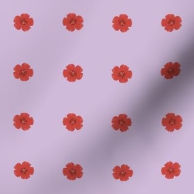 red flower-lavender