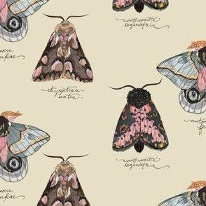 Pink moth repeatable print