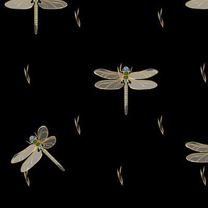 Dragonflies Coordinate | Black