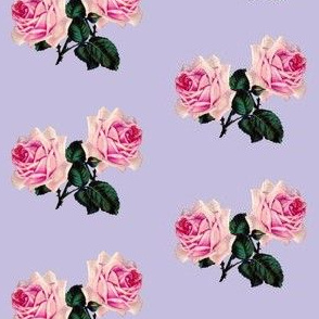 Vintage pink roses on lilac