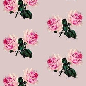 Vintage pink roses on pale dusky pink