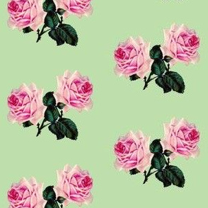 Vintage pink roses on pale green