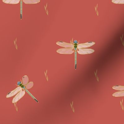 Dragonflies Coordinate | Coral Brick