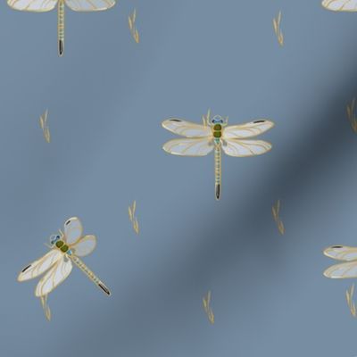 Dragonflies Coordinate | Blue Gray