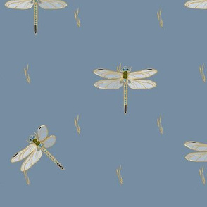 Dragonflies Coordinate | Blue Gray