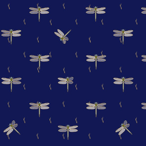Dragonflies Coordinate | Deep Blue