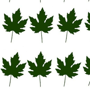 Green Maple Leaves PP