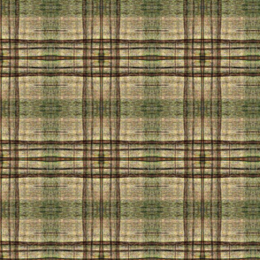 ART NOUVEAU Organic Curves Fancy Plaid