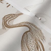 heron sepia