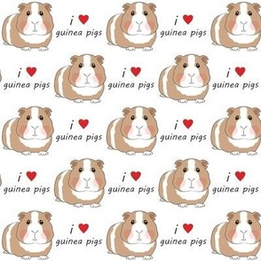 i love guinea pigs - brown medium
