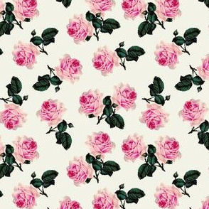 Scattered vintage roses on chalk white (small)