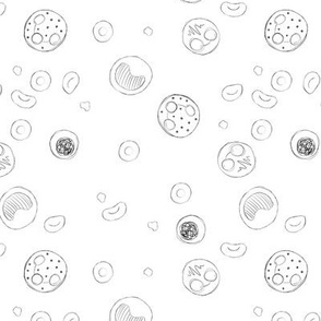 Blood Cells — Black on White