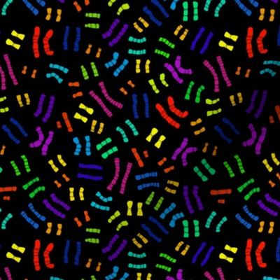 Rainbow Chromosomes