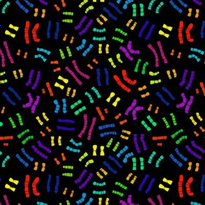 Rainbow Chromosomes