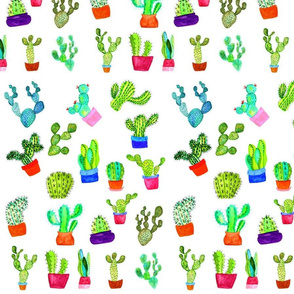 Cactus  set