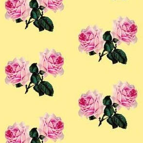 Vintage roses on yellow 2