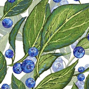 Festive Blueberries Large | White