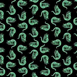 The Cheshire Cat from Alice in Wonderland in Mint Green with Black Background