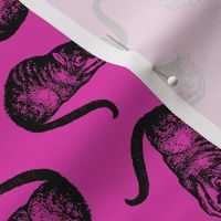 The Cheshire Cat from Alice in Wonderland in Black with Hot Pink Background