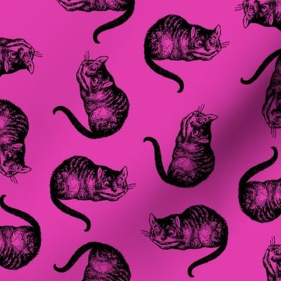 The Cheshire Cat from Alice in Wonderland in Black with Hot Pink Background