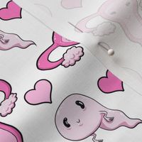 sperm and uterus