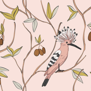 Hoopoe pink bird