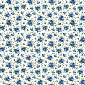 blueberry seamless pattern s