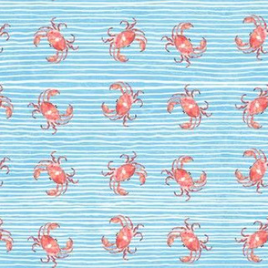 1c Red Crab  Baby Blue  White Stripe Small 