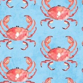1b Red Crab Baby Blue Large