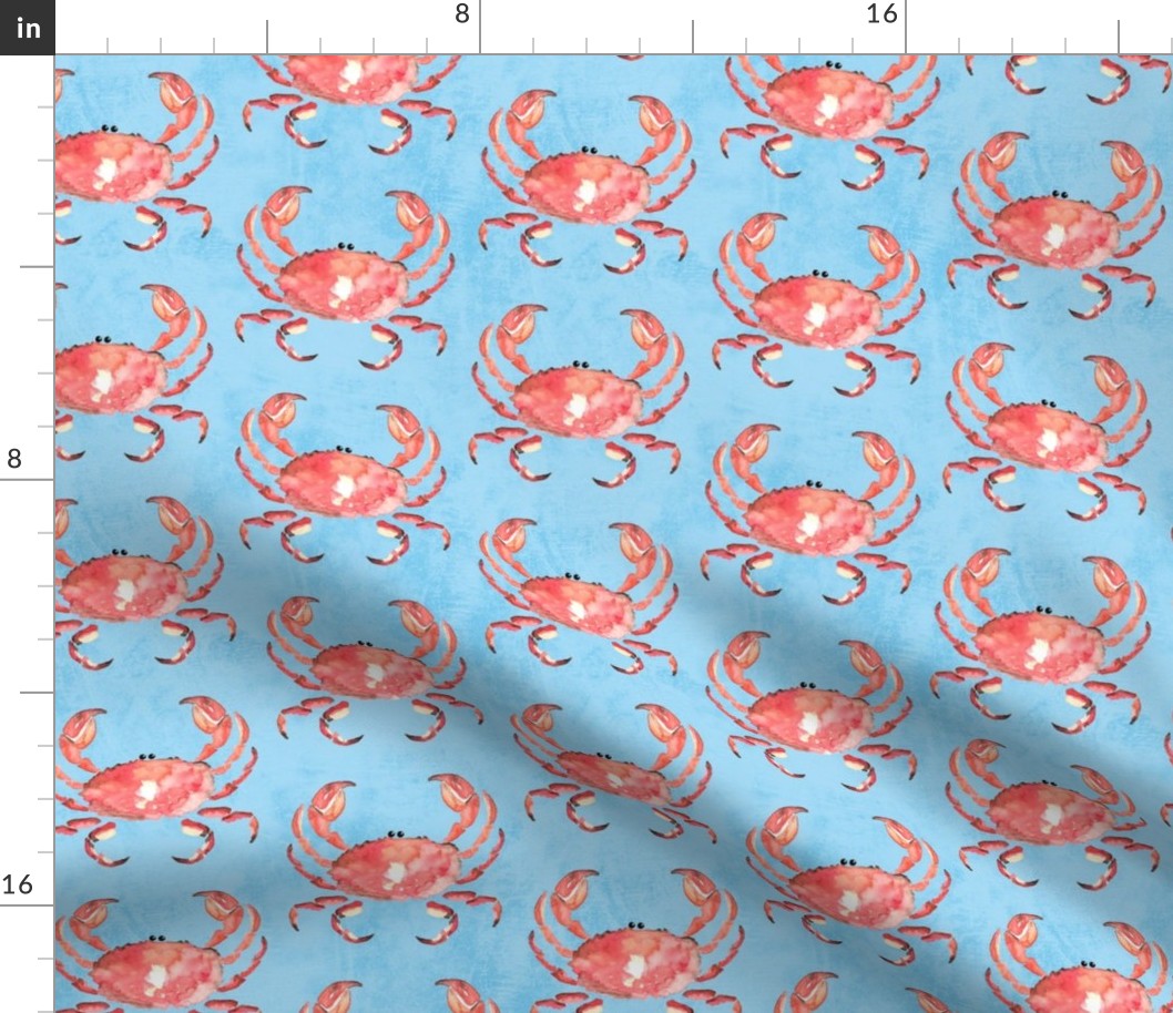 1b Red Crab Baby Blue Large