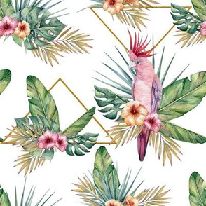 pattern with parrot m