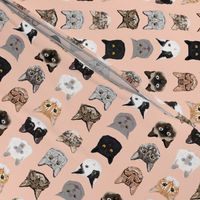 SMALL cat faces cute cats fabric sweet cats blush girls kittens siamese cat lady fabric