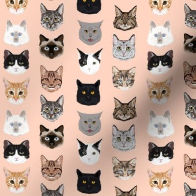 SMALL cat faces cute cats fabric sweet cats blush girls kittens siamese cat lady fabric