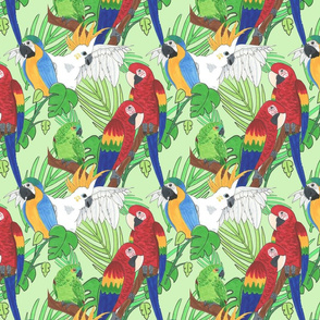 Tropical Parrots