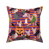 Halloween Cats Striped Large