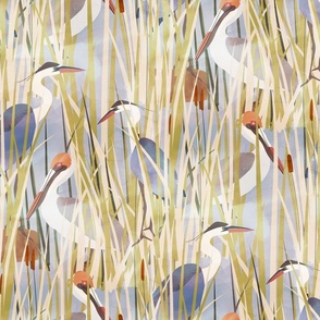 Marsh Birds
