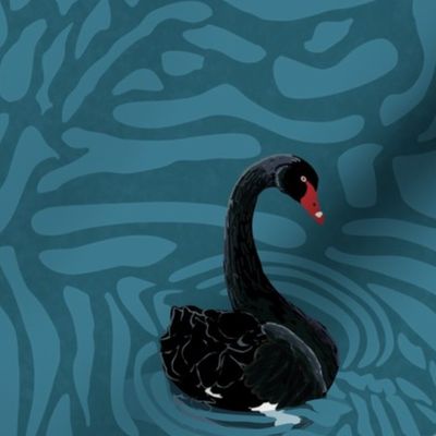 Black swans on swirling water