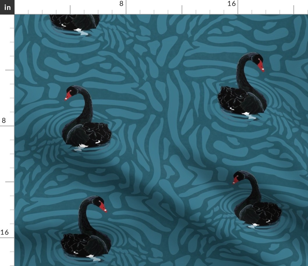 Black swans on swirling water