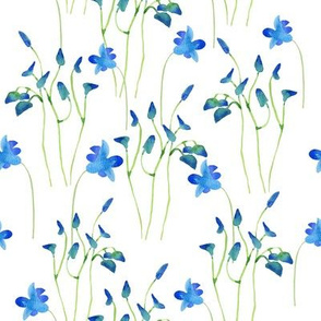 Blue Flowers and Buds in Watercolor