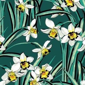 Daffodils