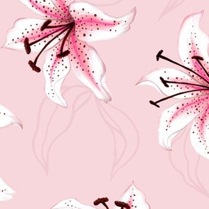 Lilies L - Light Pink