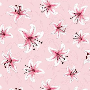 Lilies - Light Pink
