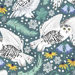 Snowy Owls on a Snowy Eve - Mediterranean Teal Background