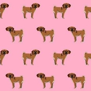 puggle fabric - dog breeds fabric - pink