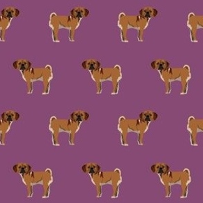 puggle fabric - dog breeds fabric - purple