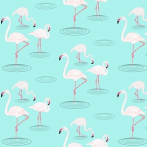 Pink Flamingos in Water