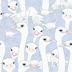 Smiling ostriches on blue toile