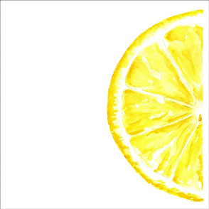 18" square panel lemon slice
