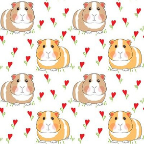 medium guinea pigs with red heart flowers