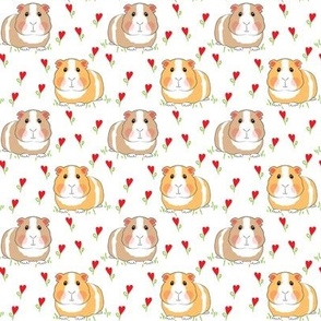 small guinea pigs with red heart flowers